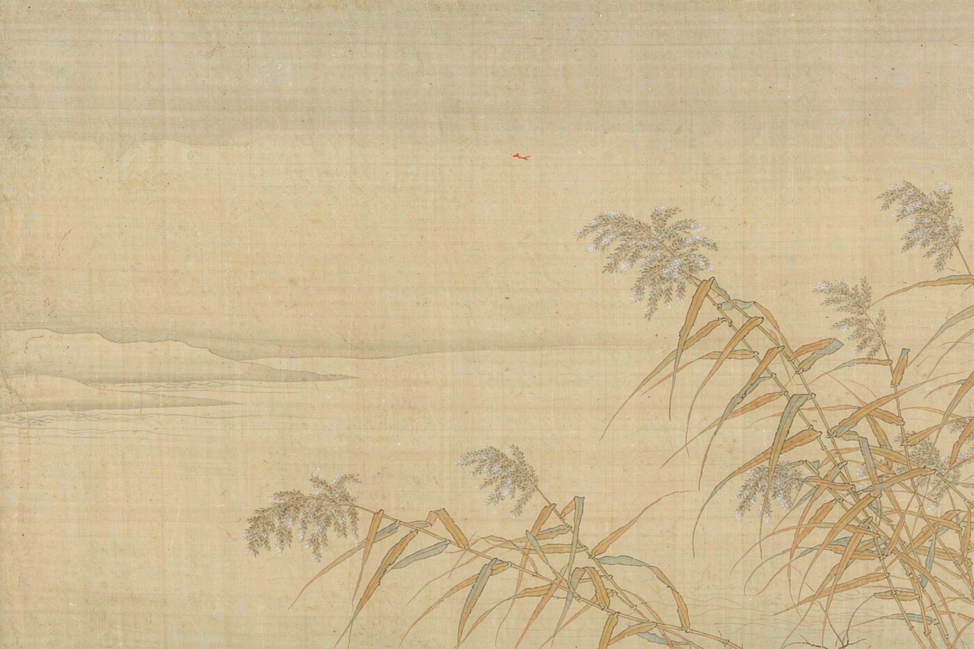 蒹葭苍苍：一丛芦花里的秋水远人